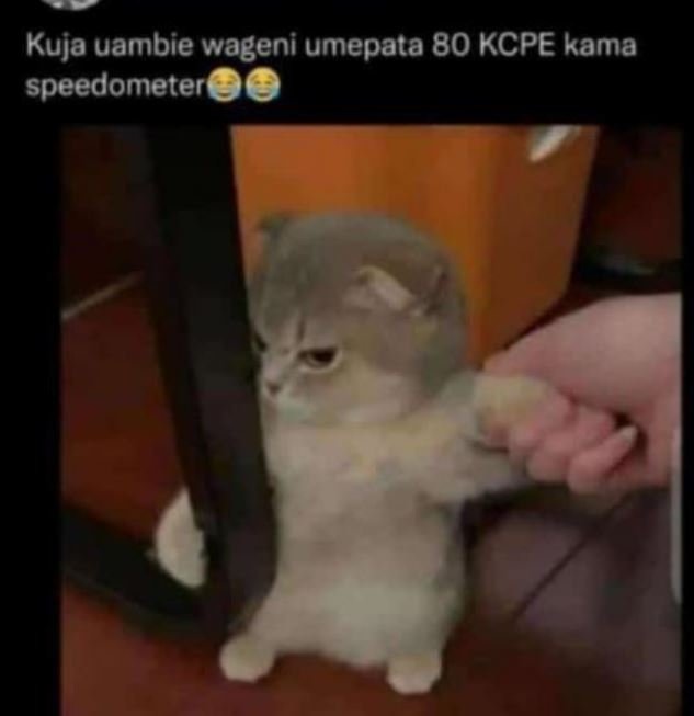 Kuja uambie wageni umepata 80 kcpe kama speedometer