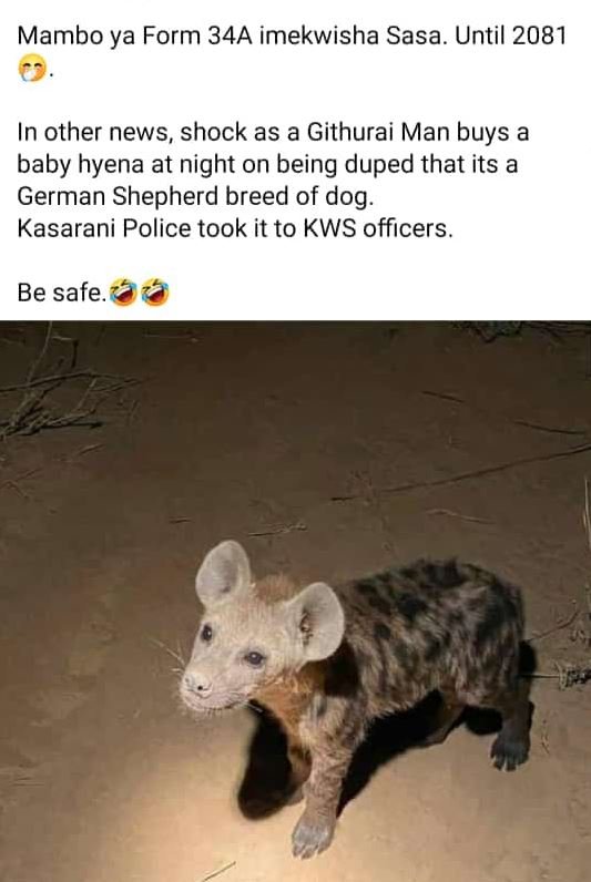 Mambo ya form 34a imekwisha sasa. until in other news, shock as a githurai man b