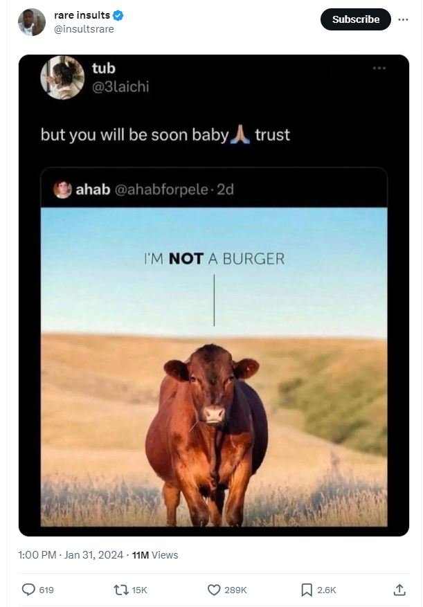 Rare insults insultsrare subscribe tub 3laichi but you will be soon baby trust a