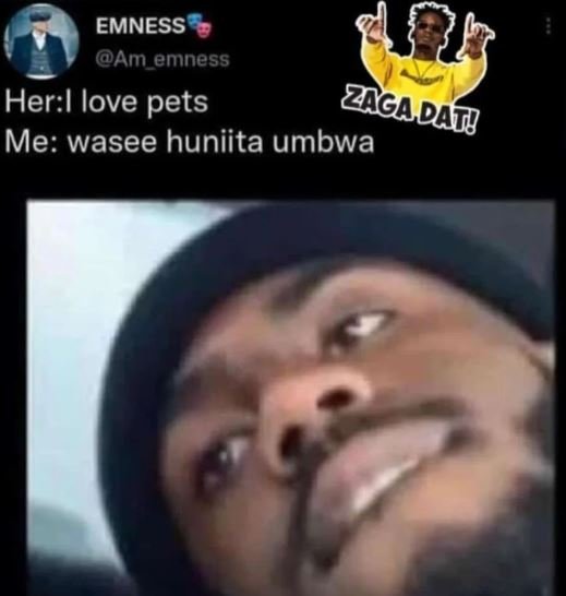 Emness am emness herl love pets zgal da me wasee huniita umbwa