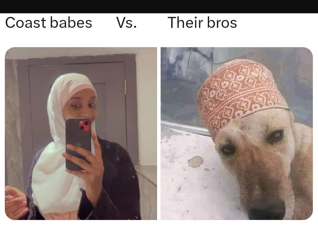 Coast babes vs their bros 5 7p