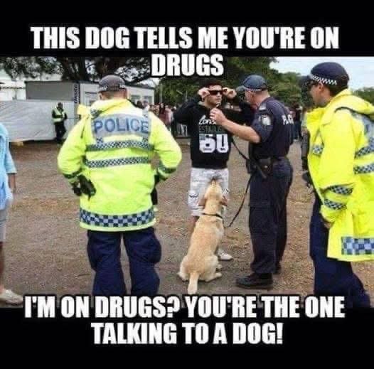 This dog tells me you're on drugs police 60 tm on drugs? youre the one talking t