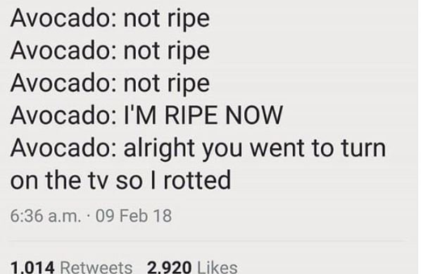 Avocado not ripe avocado not ripe avocado not ripe avocado i'm ripe now avocado
