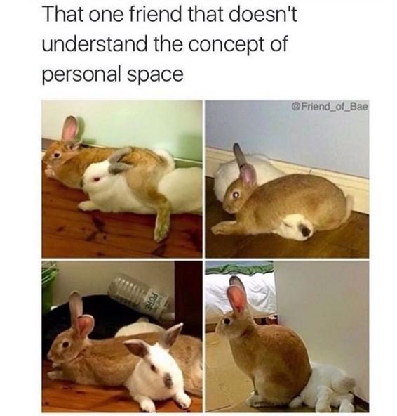 That one friend that doesn't understand the concept of personal space friend_ol_