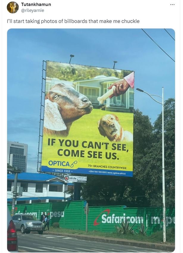 Tutankhamun rileyarnie ill start taking photos of billboards that make me chuckl