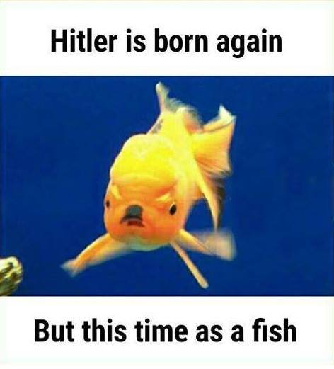 Hitler is born again but this time as a fish
