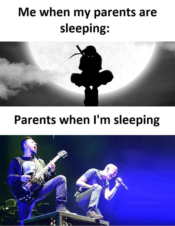Me when my parents are sleeping parents when i'm sleeping