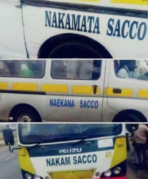 Naekana sacco suzu nakam sacco nakamaia sacco
