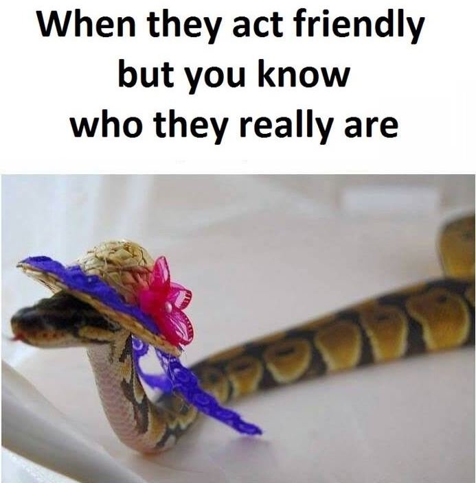 When they act friendly but you know who they really are