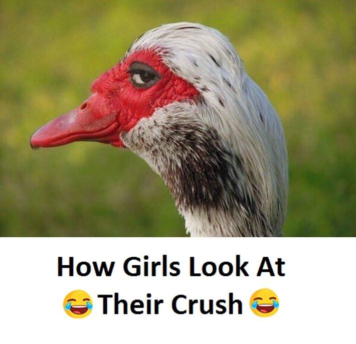 How girls look at their crush