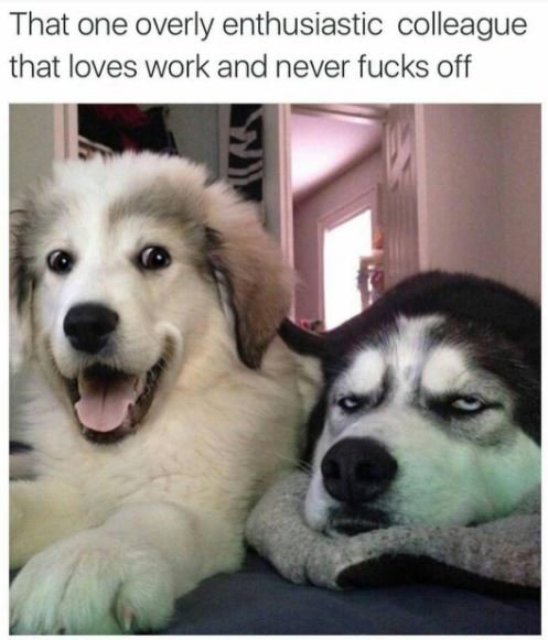 That one overly enthusiastic colleague that loves work and never fucks off