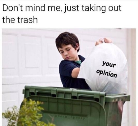 Don't mind me just taking out the trash your opinion