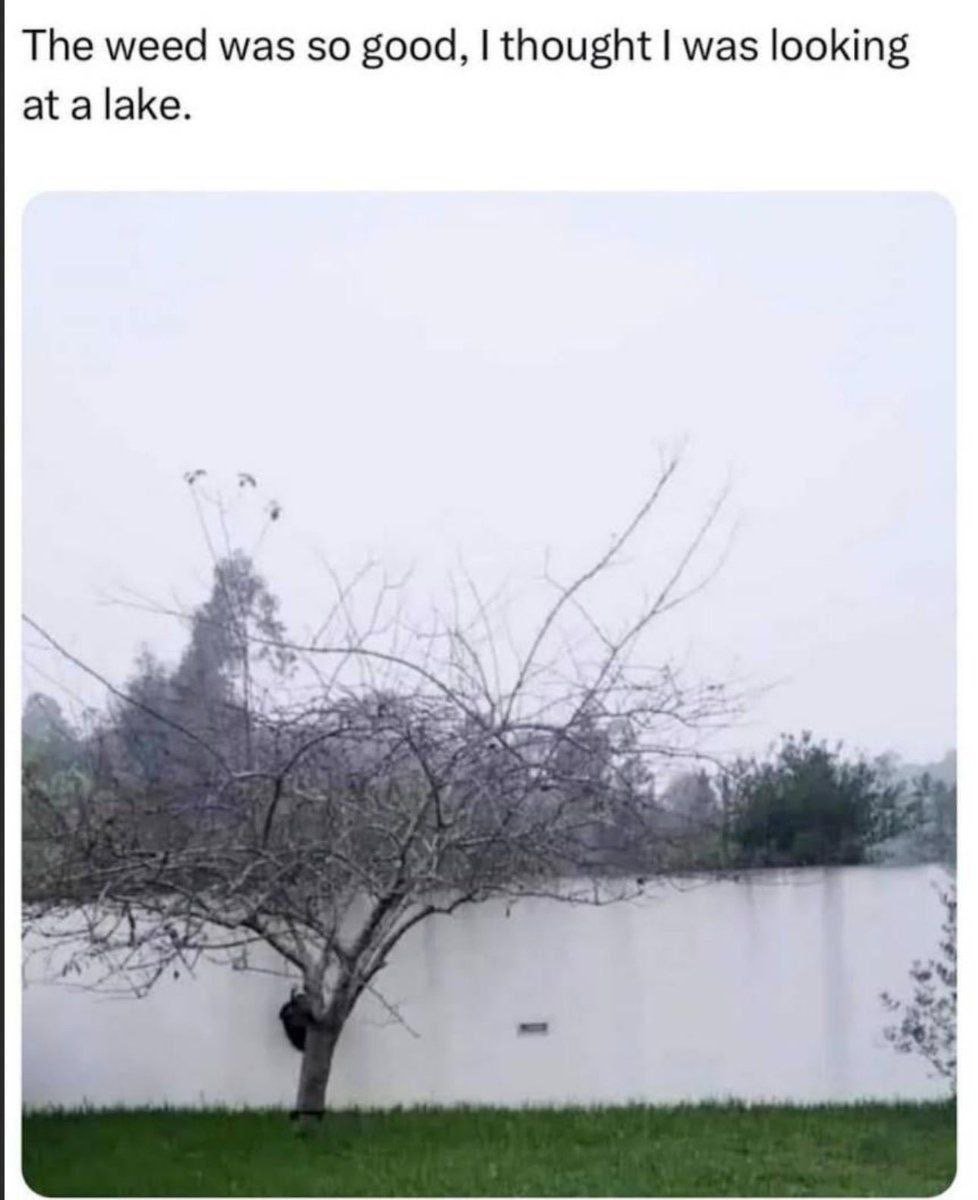 The weed was so good, i thought l was looking at a lake
