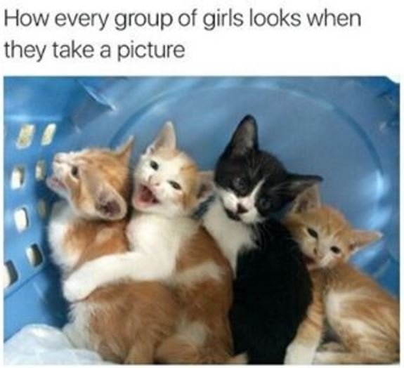 How every group of girls looks when they take a picture