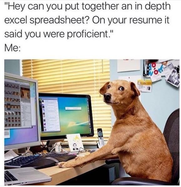 Hey can you put together an in depth excel spreadsheet? on your resume it said y