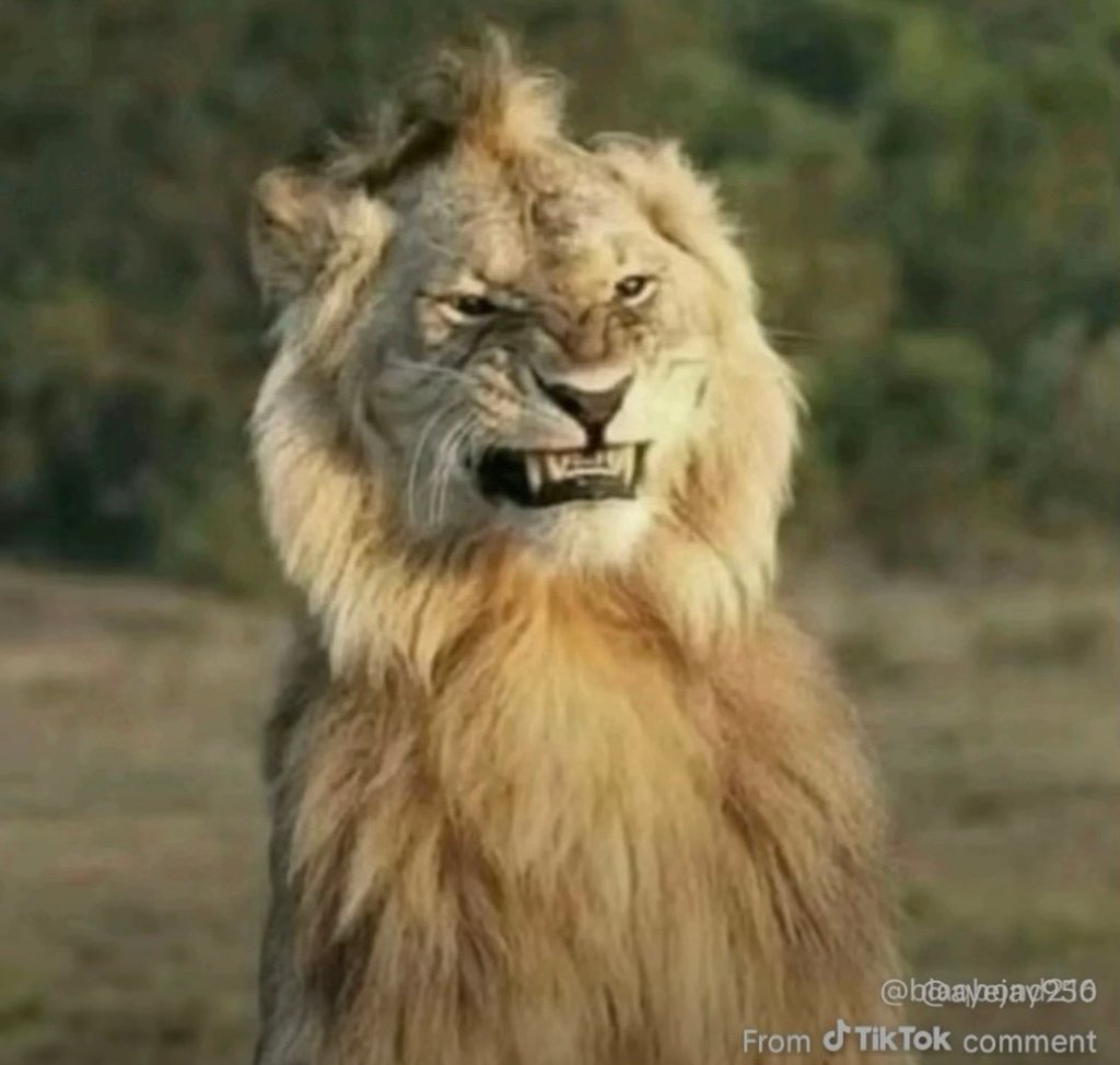 Huajejay2so from tiktok comment