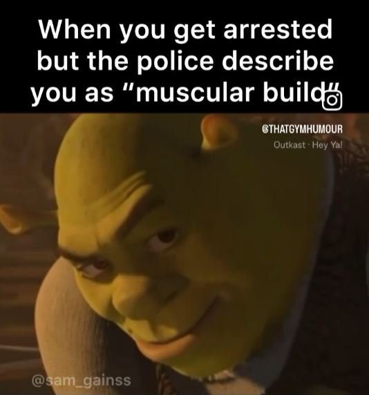 When you get arrested but the police describe you as 17 'muscular build cthatgym
