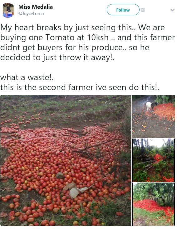 Miss medalia joycelorna follow my heart breaks by just seeing this.. we are buyi