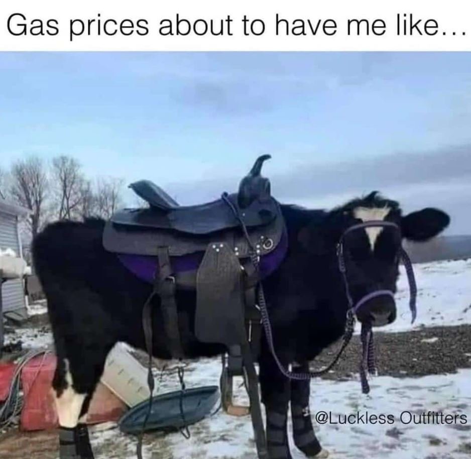 Gas prices about to have me like luckless outfitters