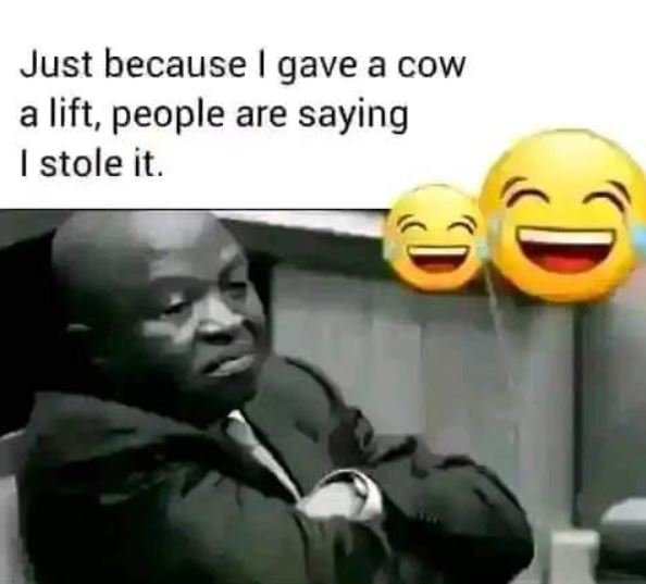 Just because gave a cow a lift, people are saying istole it. g8