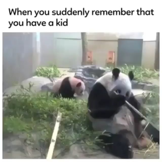 When you suddenly remember that you have a kid