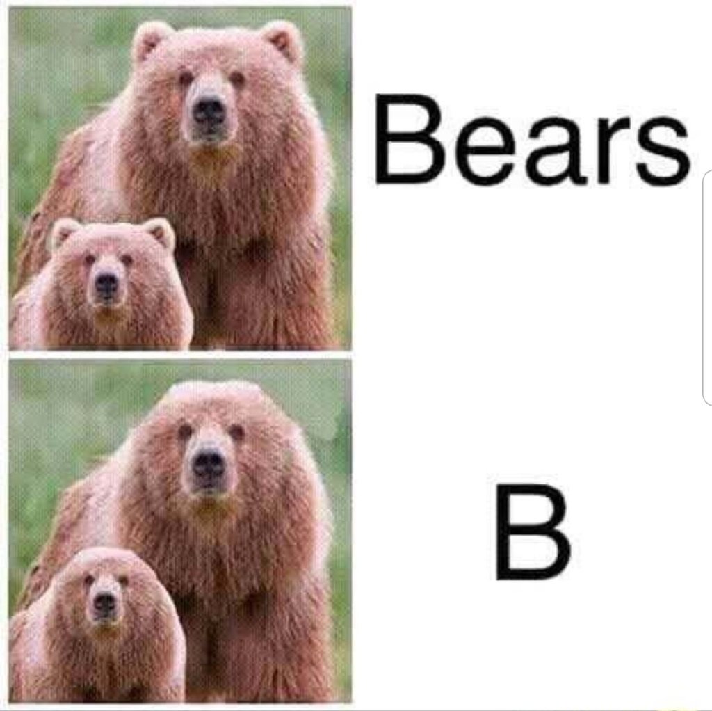 Bears b