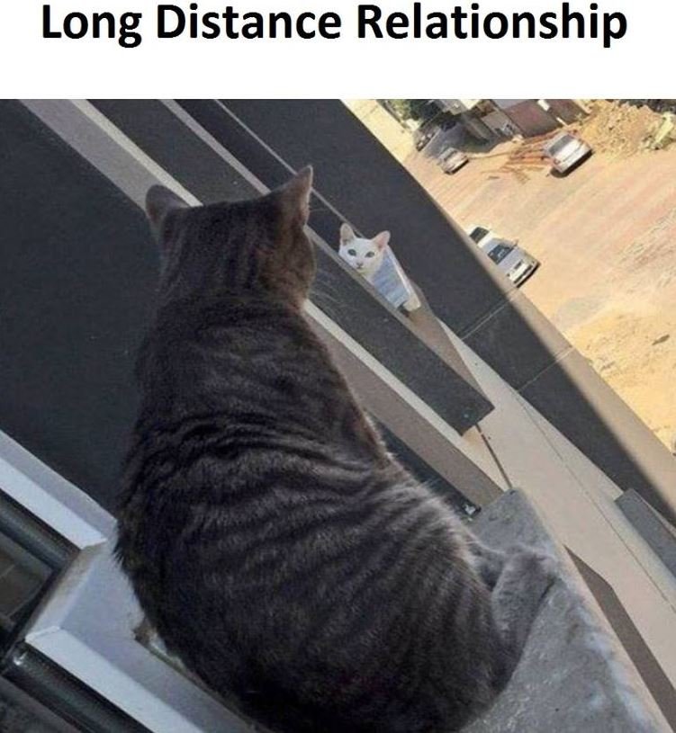 Long distance relationship