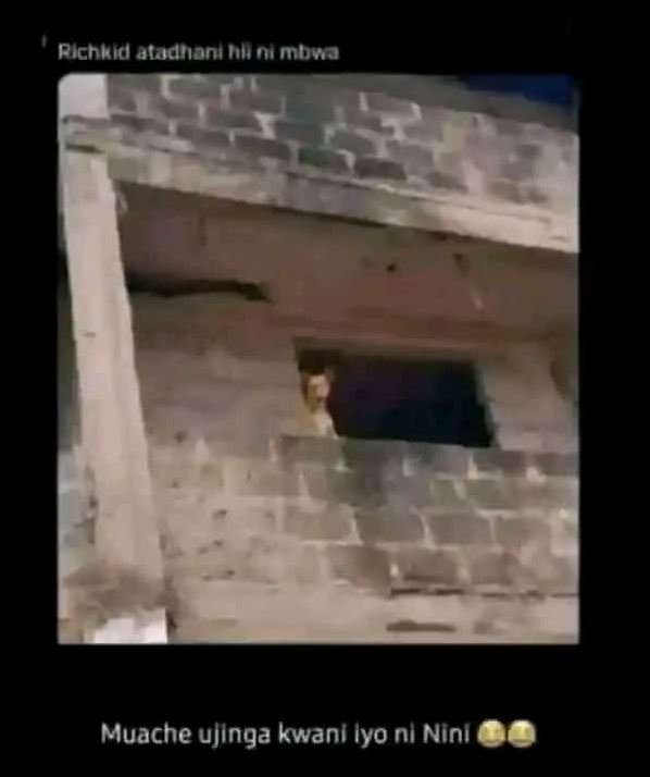Pichkid aladnani nho mbva muache ujinga kwani iyo ni nini