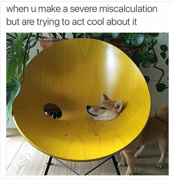 When u make a severe miscalculation but are trying to act cool about it