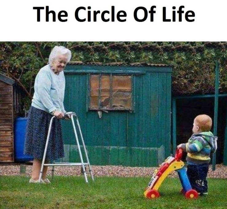 The circle of life