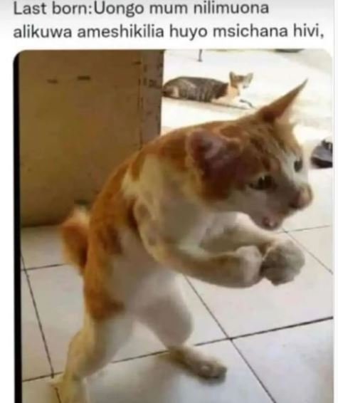 Last bornuongo mum nilimuona alikuwa ameshikilia huyo msichana hivi,