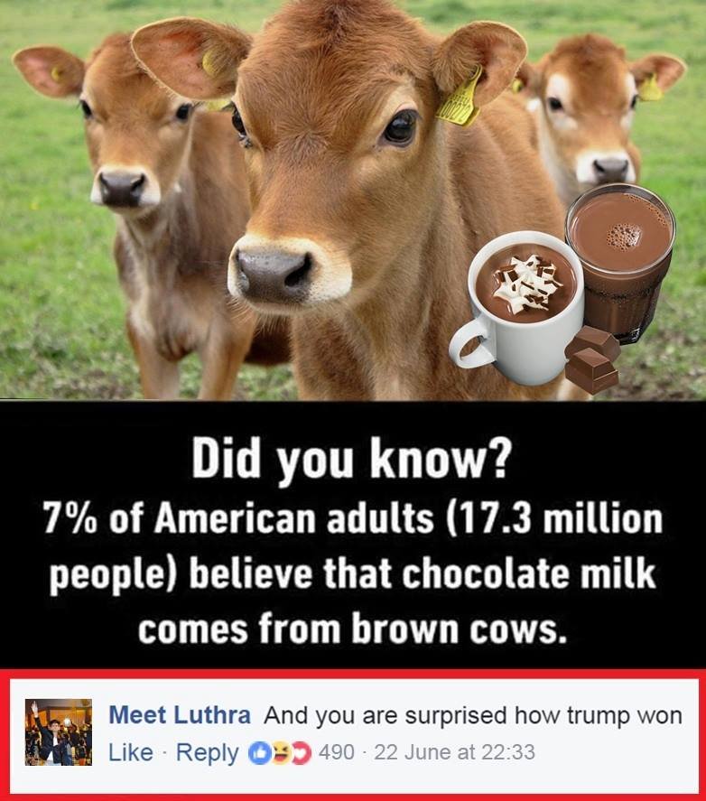 Did you know? 7 of american adults 17.3 million people believe that chocolate mi