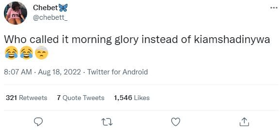 Chebet 8 chebett _ who called it morning glory instead of kiamshadinywa 8.07 am