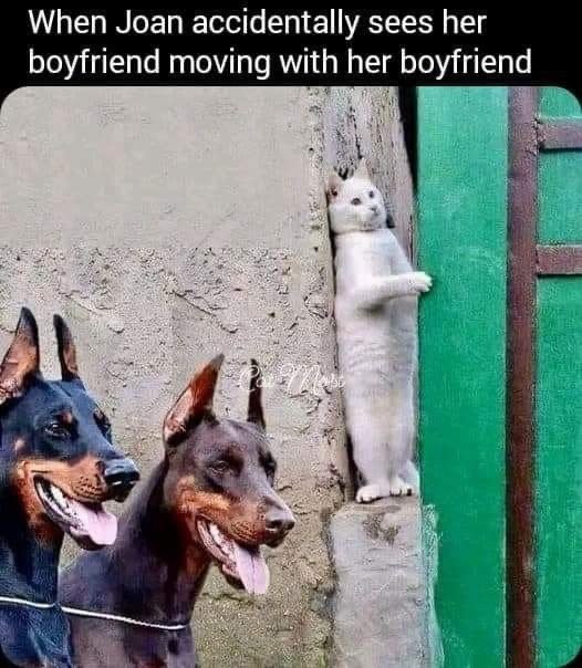 When joan accidentally sees her boyfriend moving with her boyfriend