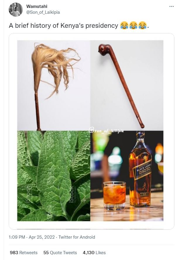 Wamutahi son_of_laikipia brief history of kenya's presidency 1.09 pm apr 25, twi