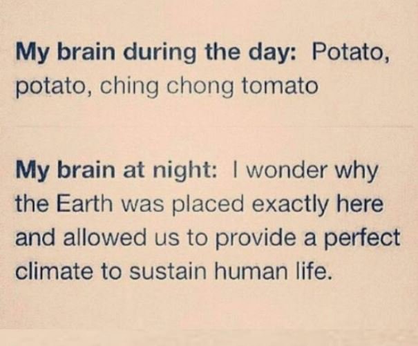 My brain during the day potato, potato, ching chong tomato my brain at night won