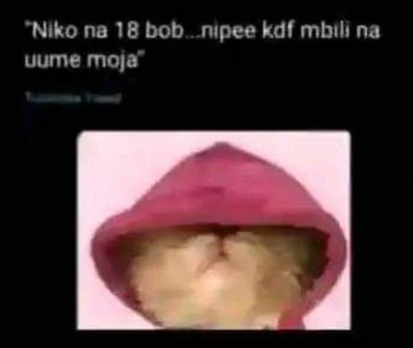 Niko na 18 bob nipee kdl mbılı na uume mola