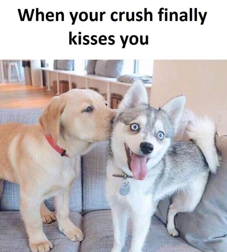 When your crush finally kisses you