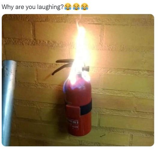 Why are you laughing? e