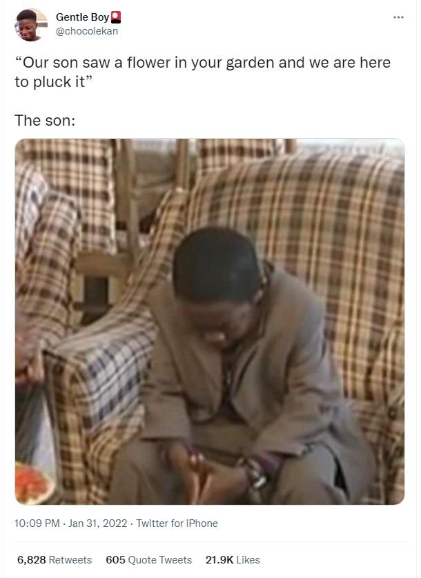 Gentle Boy chocolekan Our son saw a flower in your garden and we are here to plu