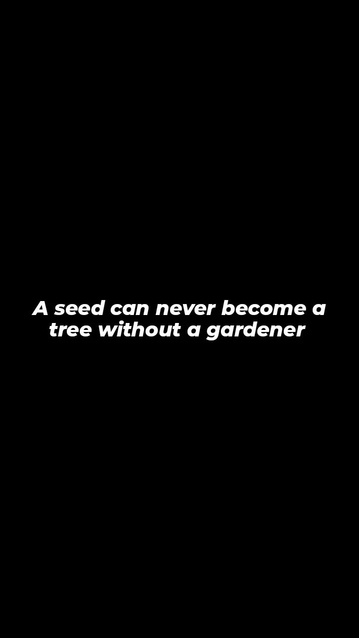 A seed can never become tree without a gardener