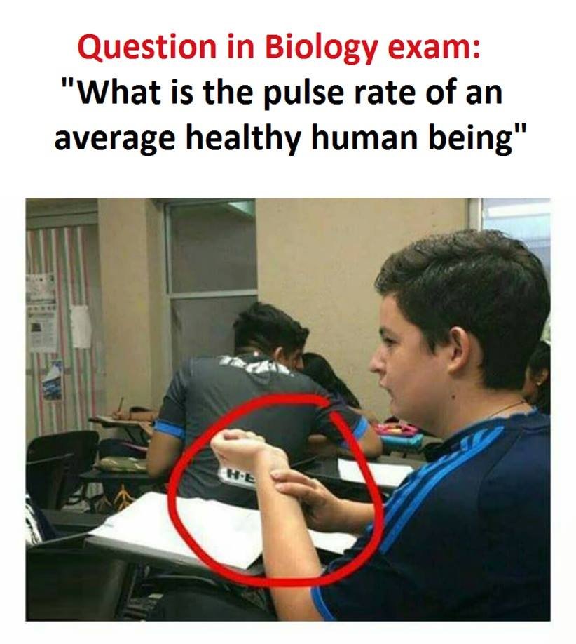Question in biology exam what is the pulse rate of an average healthy human bein