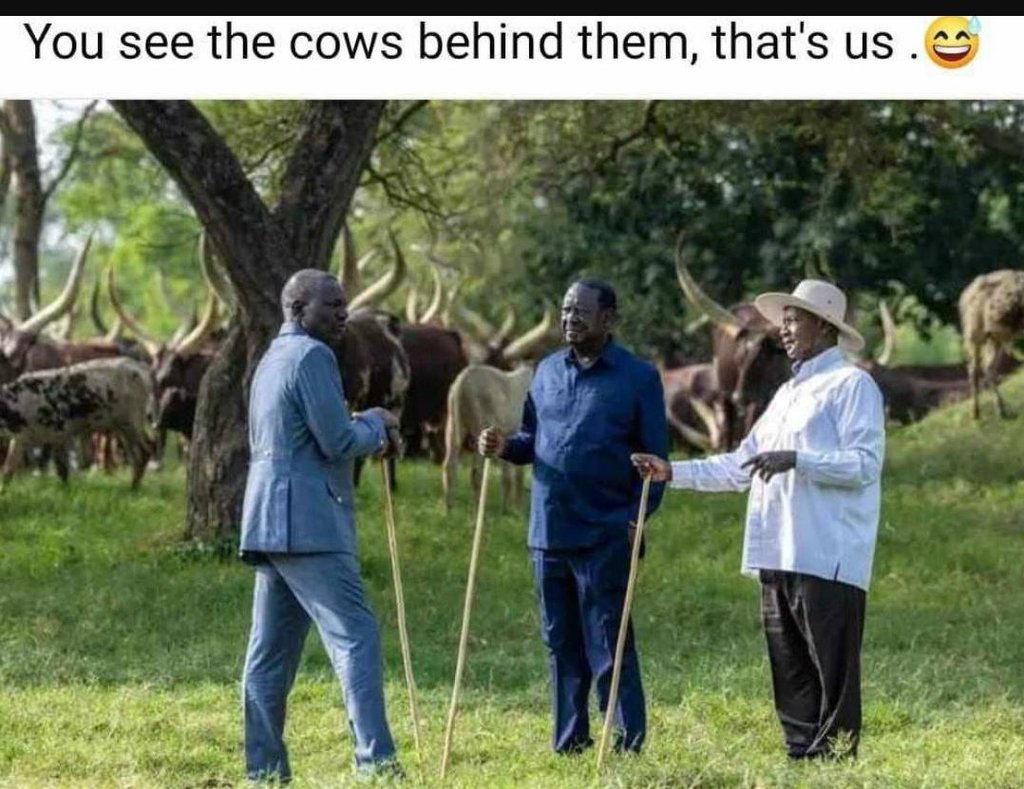 You see the cows behind them, that's us