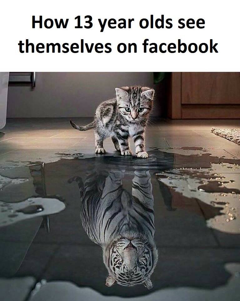 How 13 year olds see themselves on facebook