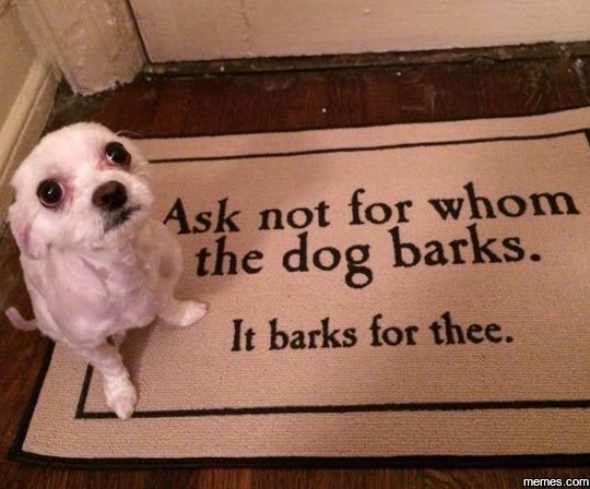 Ask not for whom the dog barks_ it barks for thee. 7emec com