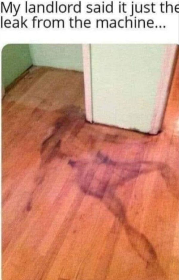 My landlord said it just the leak from the machine..