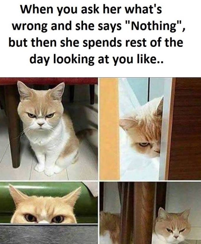 When you ask her what's wrong and she says nothing' but then she spends rest of