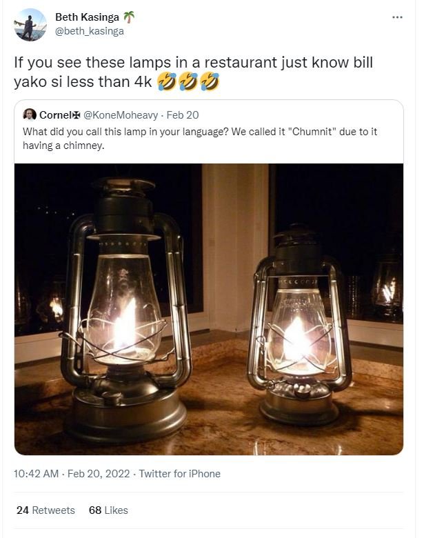 Beth Kasinga beth_kasinga If you see these lamps in a restaurant just know bill