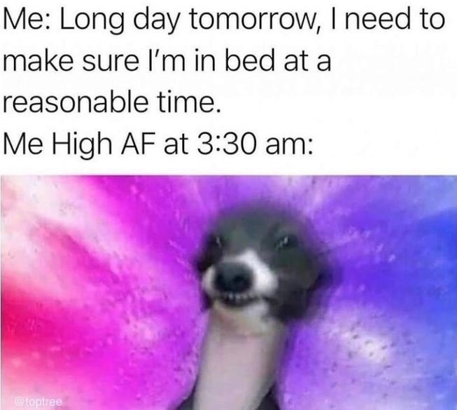 Me long day tomorrow need to make sure i'm in bed at a reasonable time. me high