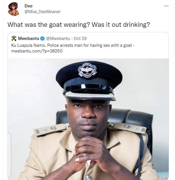 Dee miss_deemeaner what was the goat wearing? was it out drinking? mwebantu mweb